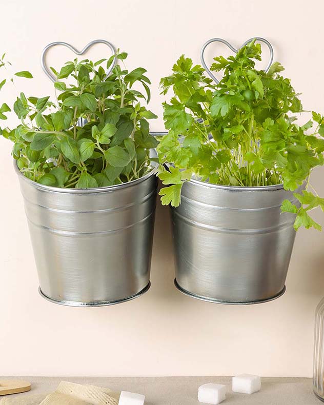 Tin plant deals pots