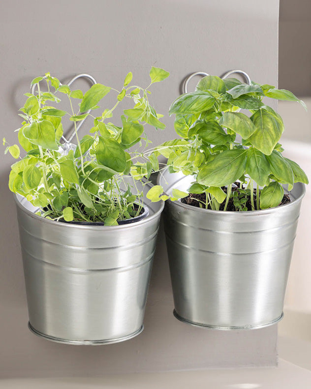 Indoor herb deals pots