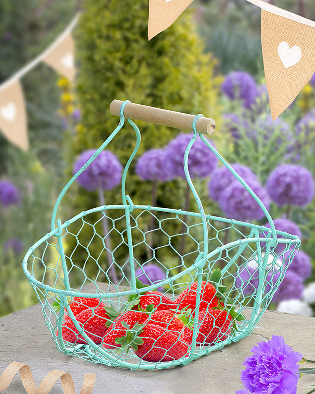 Green Summer Strawberry Basket