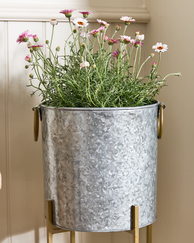 Galvanized Zinc Tall Planter