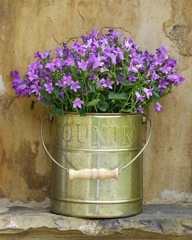 Aged Zinc Country Style Planter