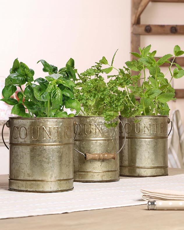 Set of 3 Kitchen Herb Planters