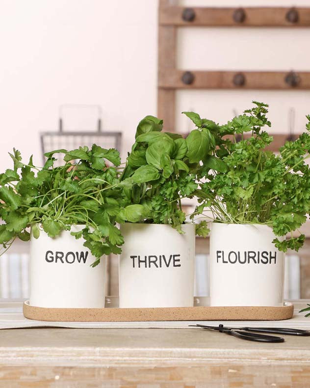 Grow, Thrive & Flourish Ceramic Herb Pots