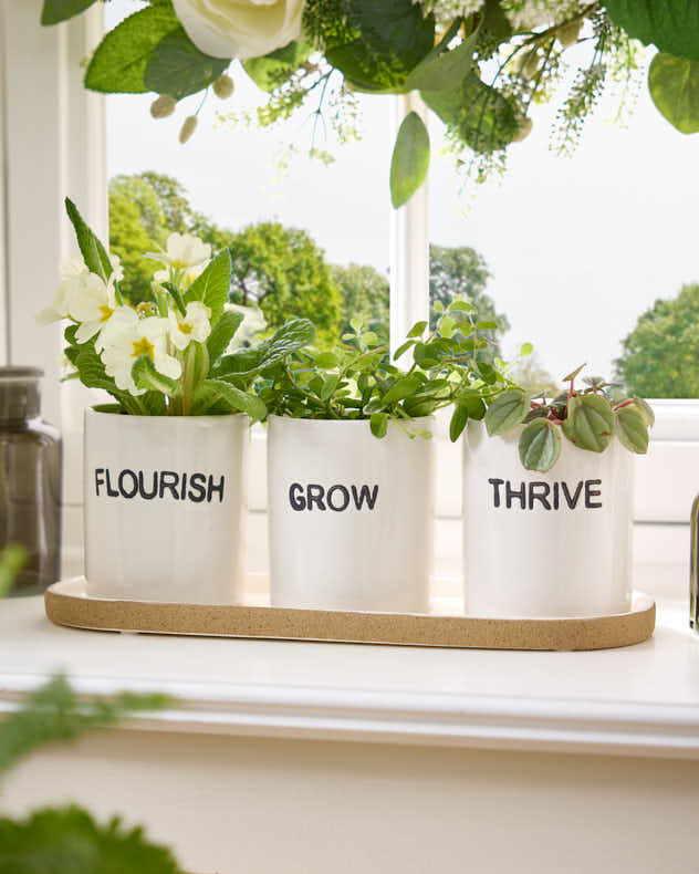 White Ceramic Pots & Planters - Grow, Thrive & Flourish Ceramic Herb Pots