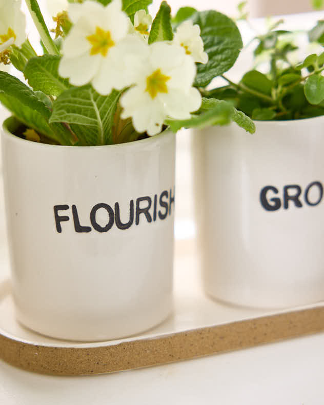 Grow, Thrive & Flourish Ceramic Herb Pots