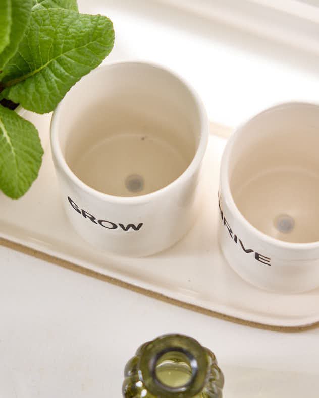 Grow, Thrive & Flourish Ceramic Herb Pots