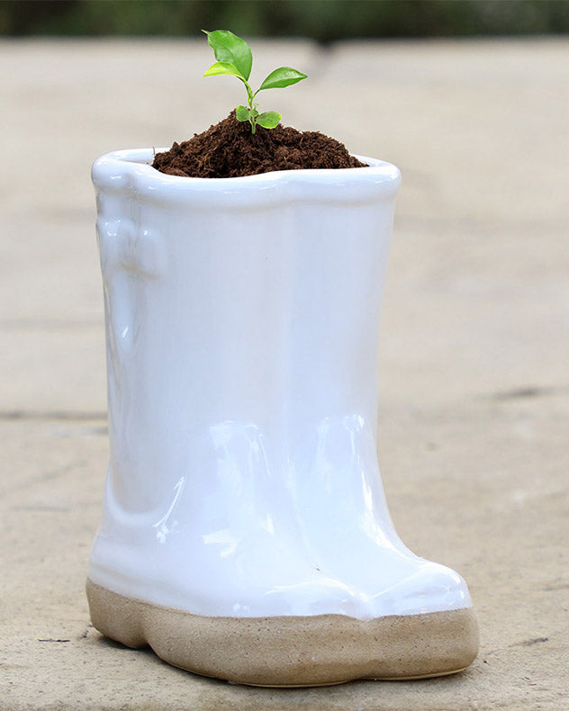 White Wellington Boots Plant Pot