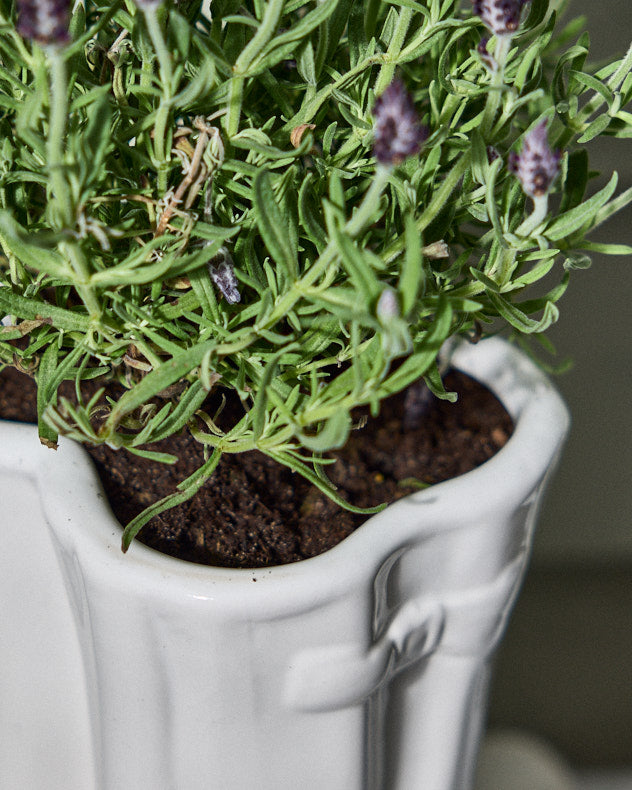 Pots &amp; Planters - Personalised Small Welly Planter