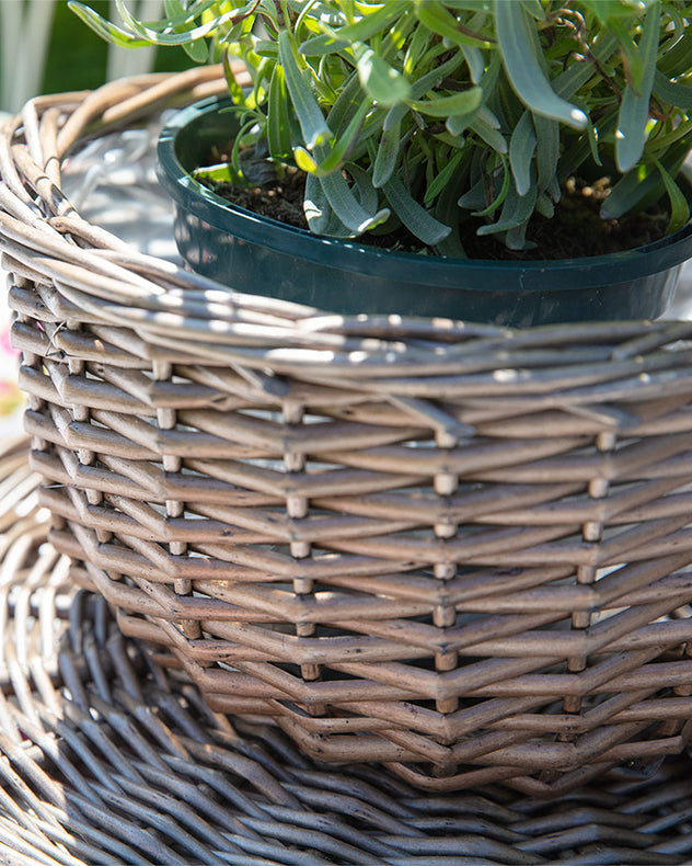 Novelty Tea Cup and Saucer Shaped Wicker Planter