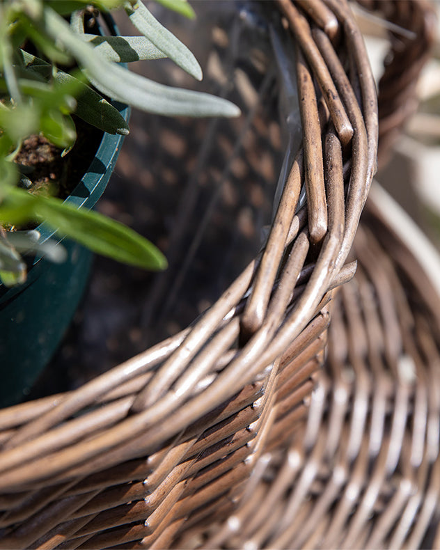 Novelty Tea Cup and Saucer Shaped Wicker Planter