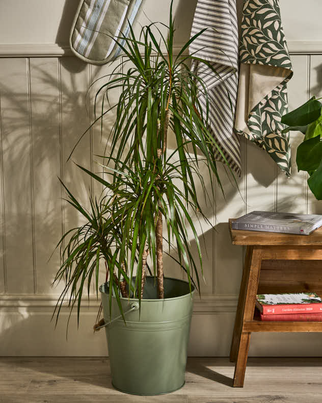 Sage Green Flower Pot Bucket Planter