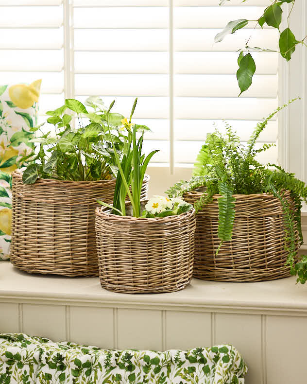 Set of 3 Round Wicker Planters