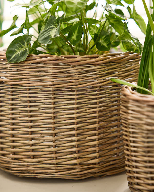 Set of 3 Round Wicker Planters