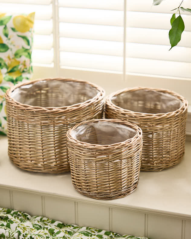 Set of 3 Round Wicker Planters