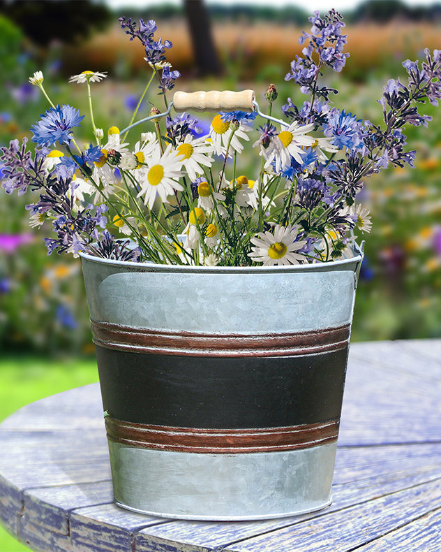 Black Band Bucket Planter with a handle