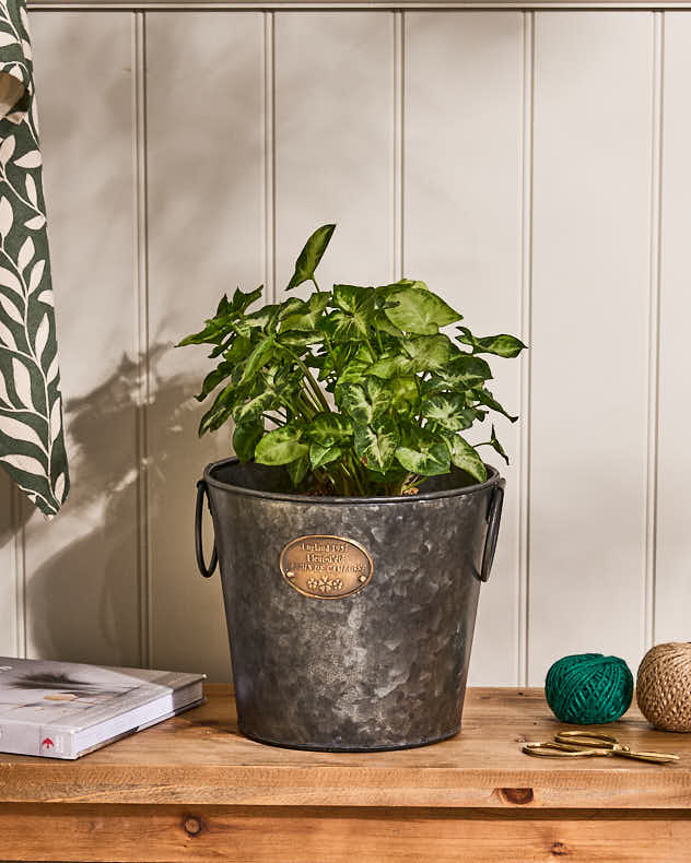 Zinc Country Planter Bucket