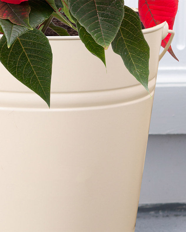 Ivory Plant Pot