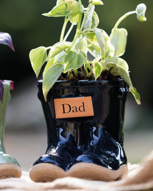 Dad's Blue Wellington Planter