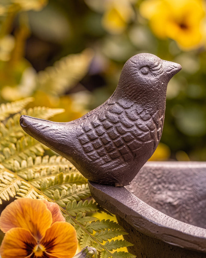 Cast Iron Roll Top Bird Bath Gift
