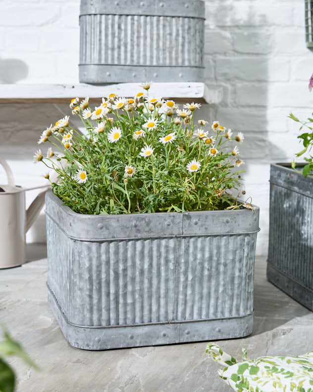 Ensemble de 3 jardinières de style vintage