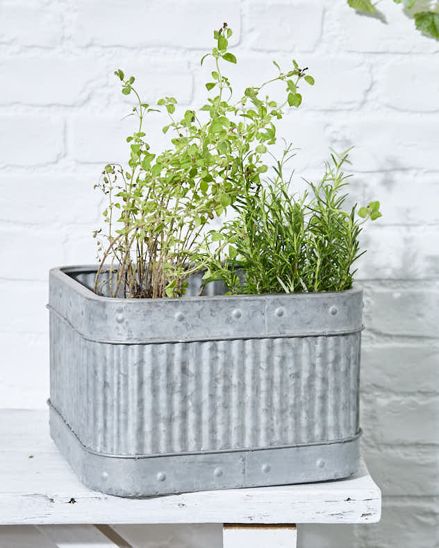 Ensemble de 3 jardinières de style vintage