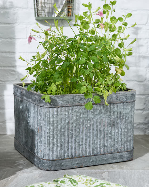 Ensemble de 3 jardinières de style vintage