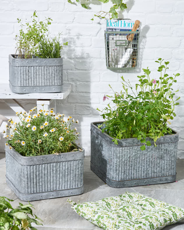 Ensemble de 3 jardinières de style vintage
