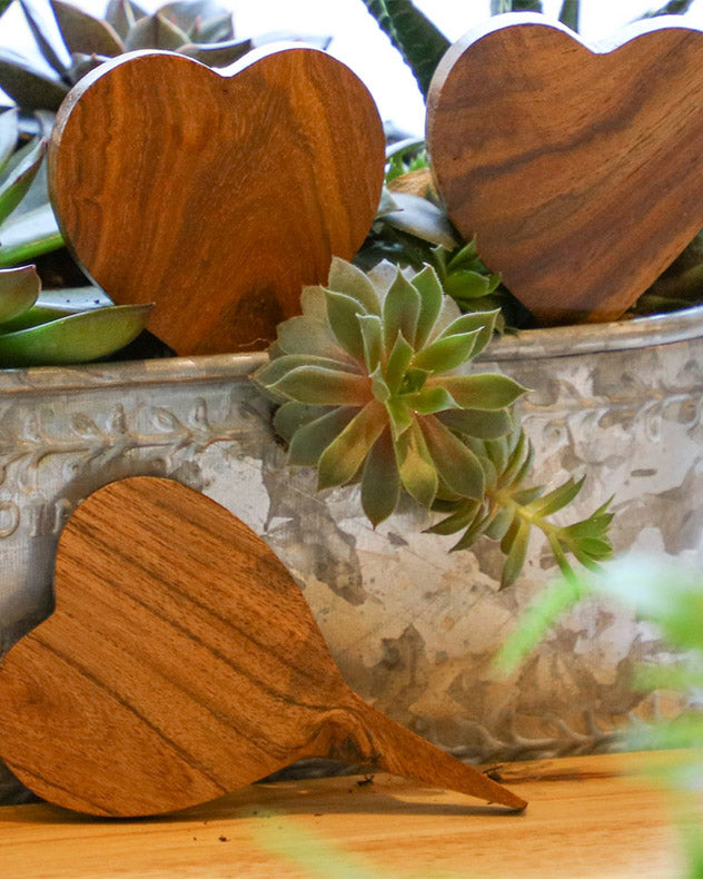 Set of 3 Personalised Wood Heart Plant Markers in the planter