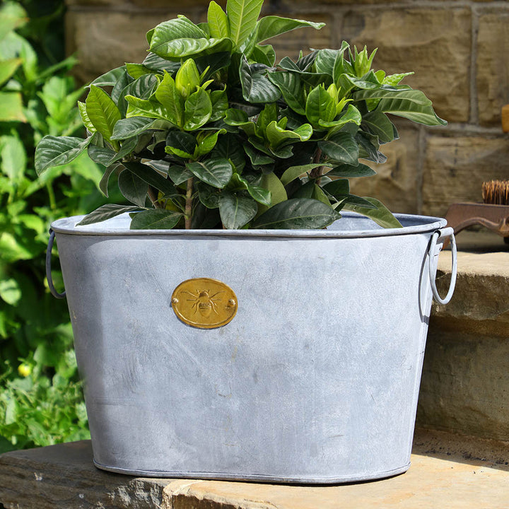 Galvanised Zinc Bumble Bee Planter