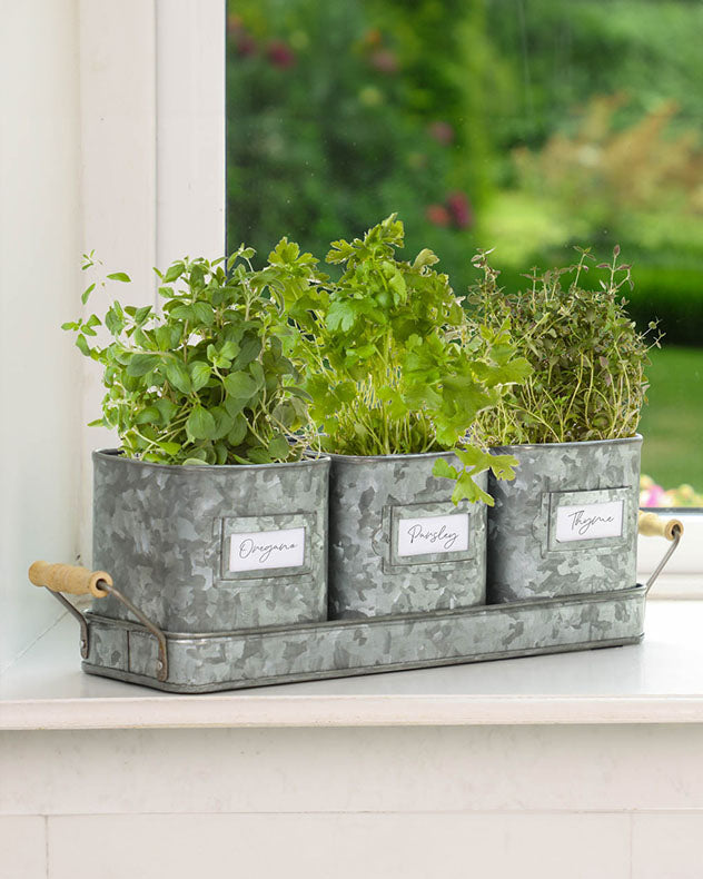 Set of 3 Vintage Zinc Grey Metal Herb Pots on Tray