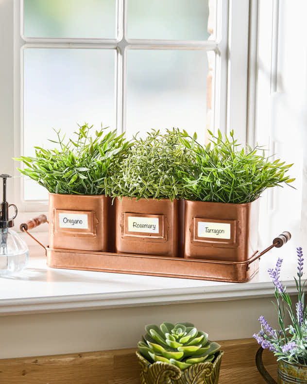 Set of 3 Copper Finish Herb Pots on Tray