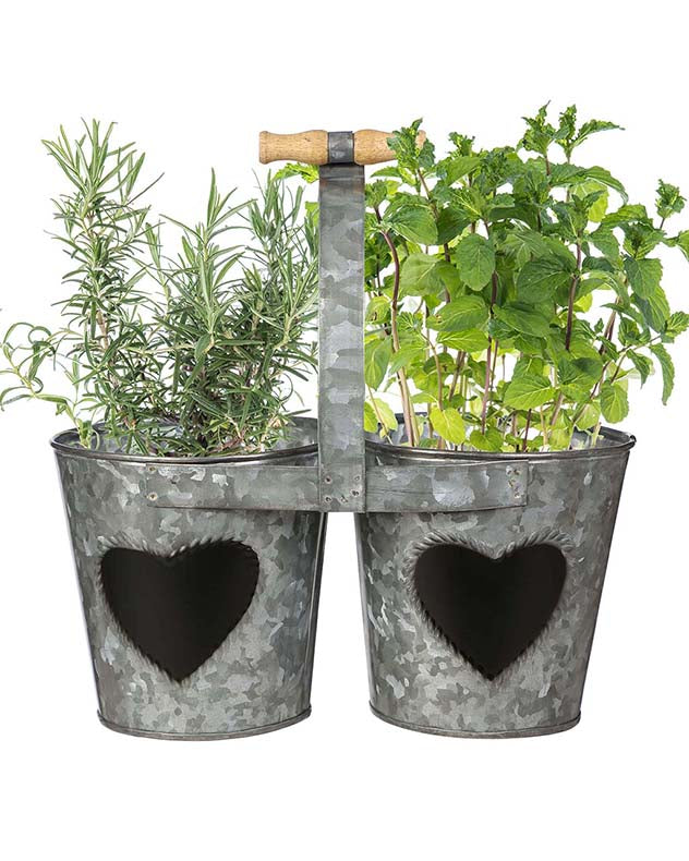 Vintage Zinc Double Kitchen Herb Bucket Planter