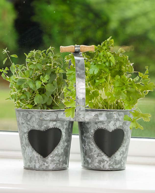 Vintage Zinc Double Kitchen Herb Bucket Planter