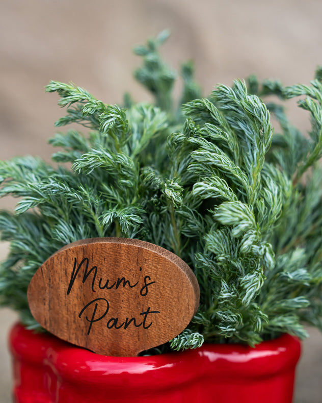 Pots & Planters - Red Welly Boot Planter with Personalised Marker