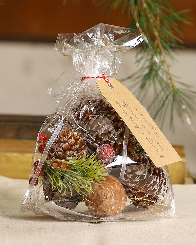 Frosted Berries Pinecone Pot Pourri