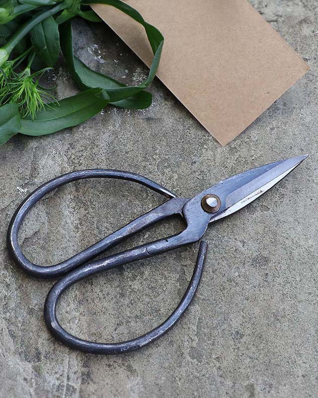 Mini Black Herb Scissors