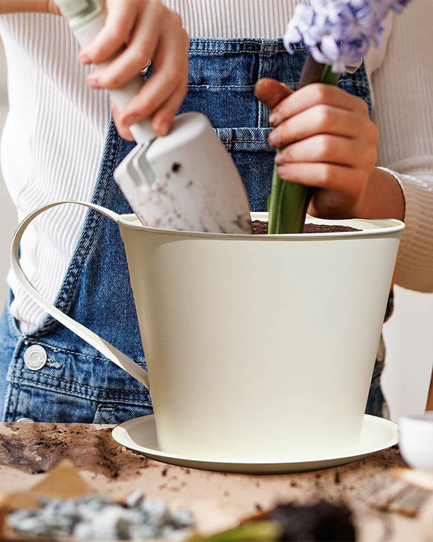 Vintage Cream Tea Cup Planter