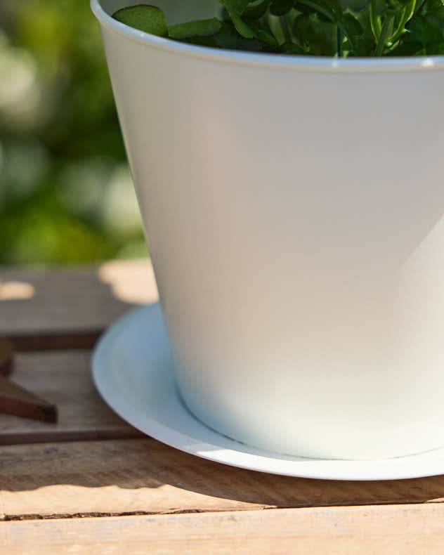 Pots & Planters - Vintage Cream Tea Cup Planter