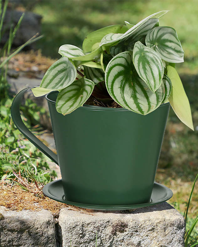 Pot de fleurs en forme de tasse à thé vert émeraude