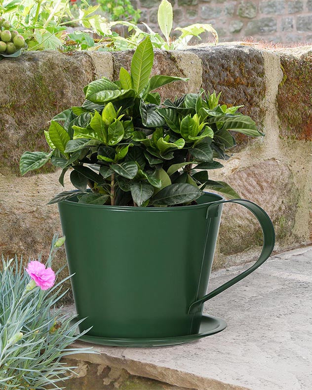 Pot de fleurs en forme de tasse à thé vert émeraude