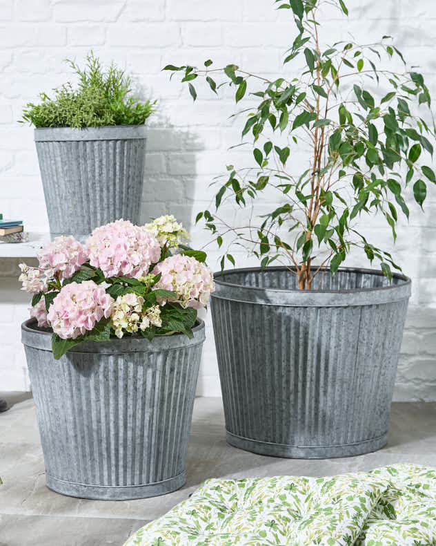 Set of 3 Ribbed Metal Bucket Planters – Dibor