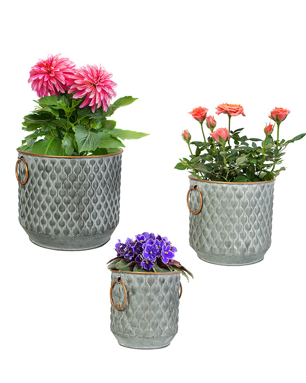 Set of 3 Textured Metal Tub Planters