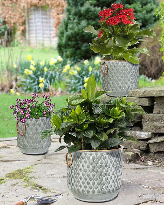 Set of 3 Textured Metal Tub Planters