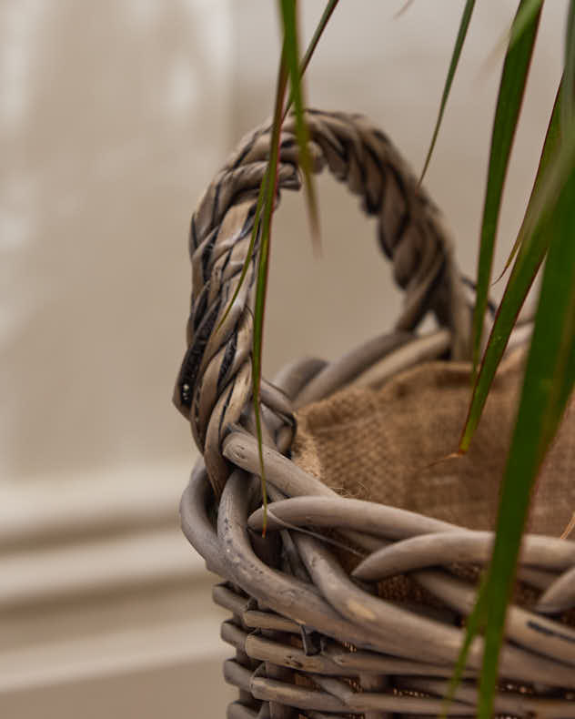 Large Lined Wicker Planter