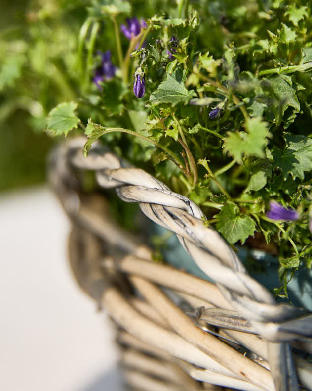 Tray Basket - Small Round Wicker Tray Basket