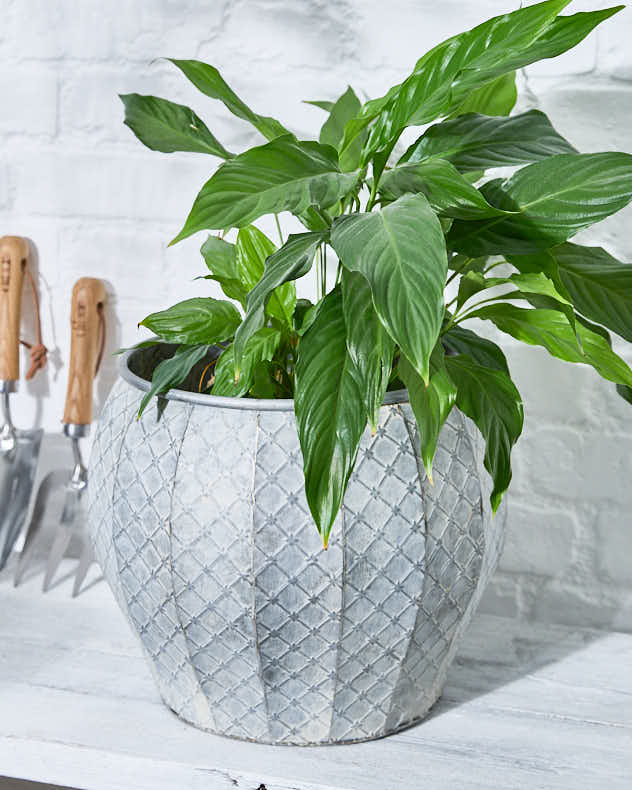 Pots &amp; Planters - Set of 3 Textured Metal Planter Tubs