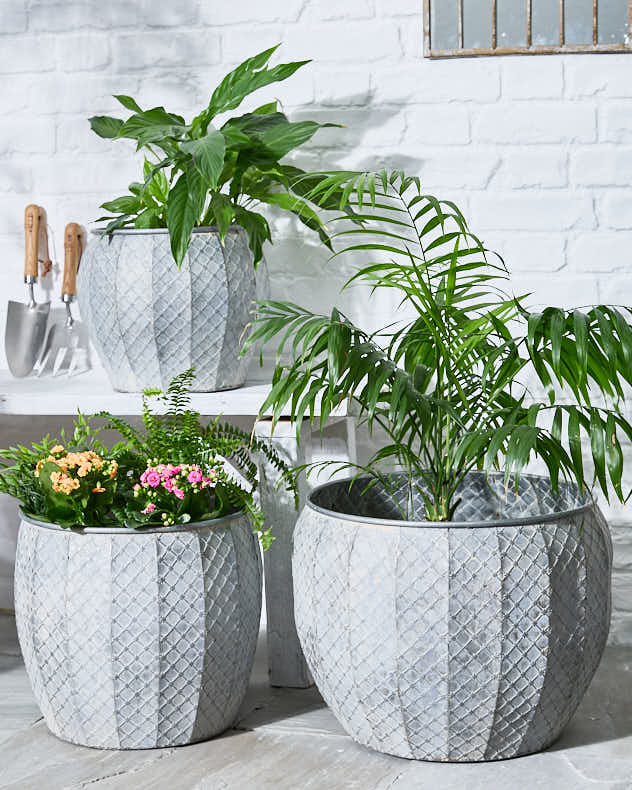 Set of 3 Textured Metal Planter Tubs