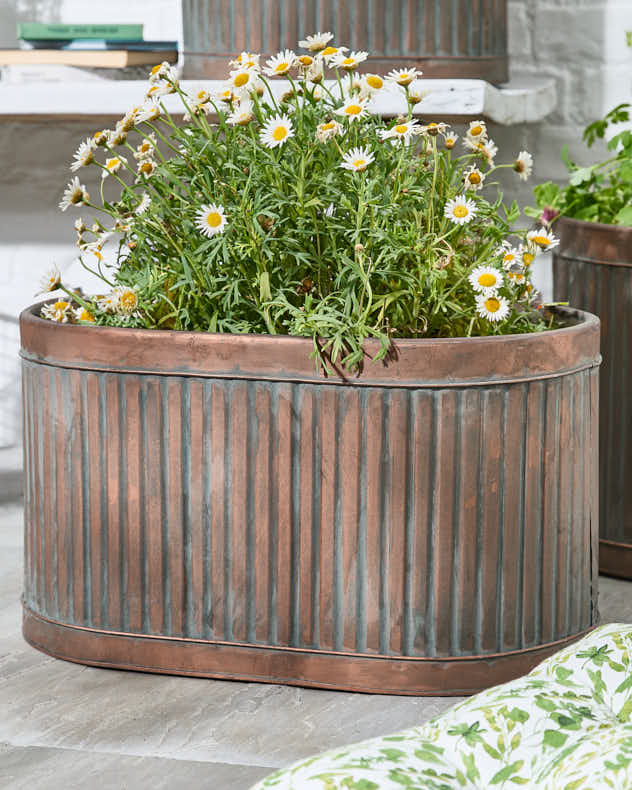 Set of 3 Metal Tub Planters