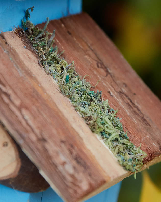 Roof of Ambleside Two Tier Birdhouse