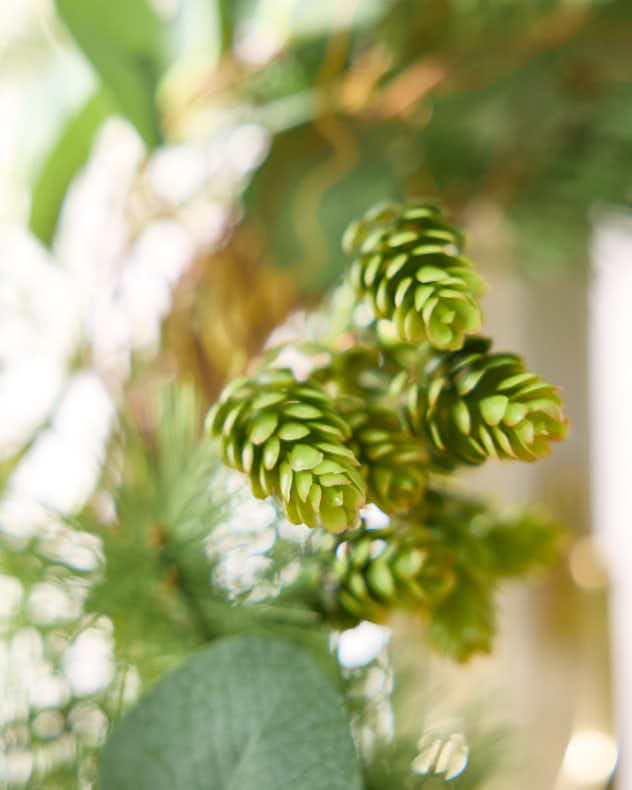 Spring Hedgerow Wreath